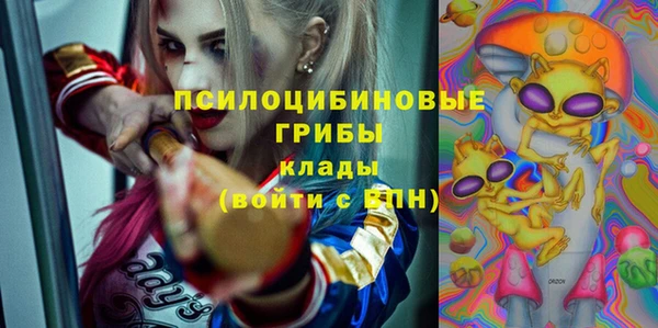 спайс Арсеньев