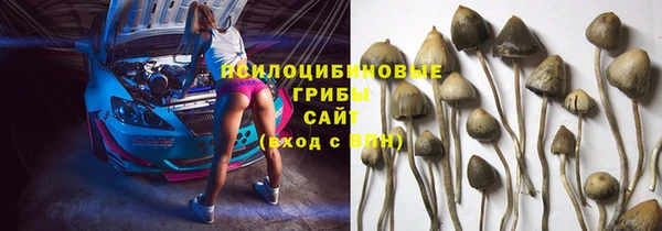 спайс Арсеньев